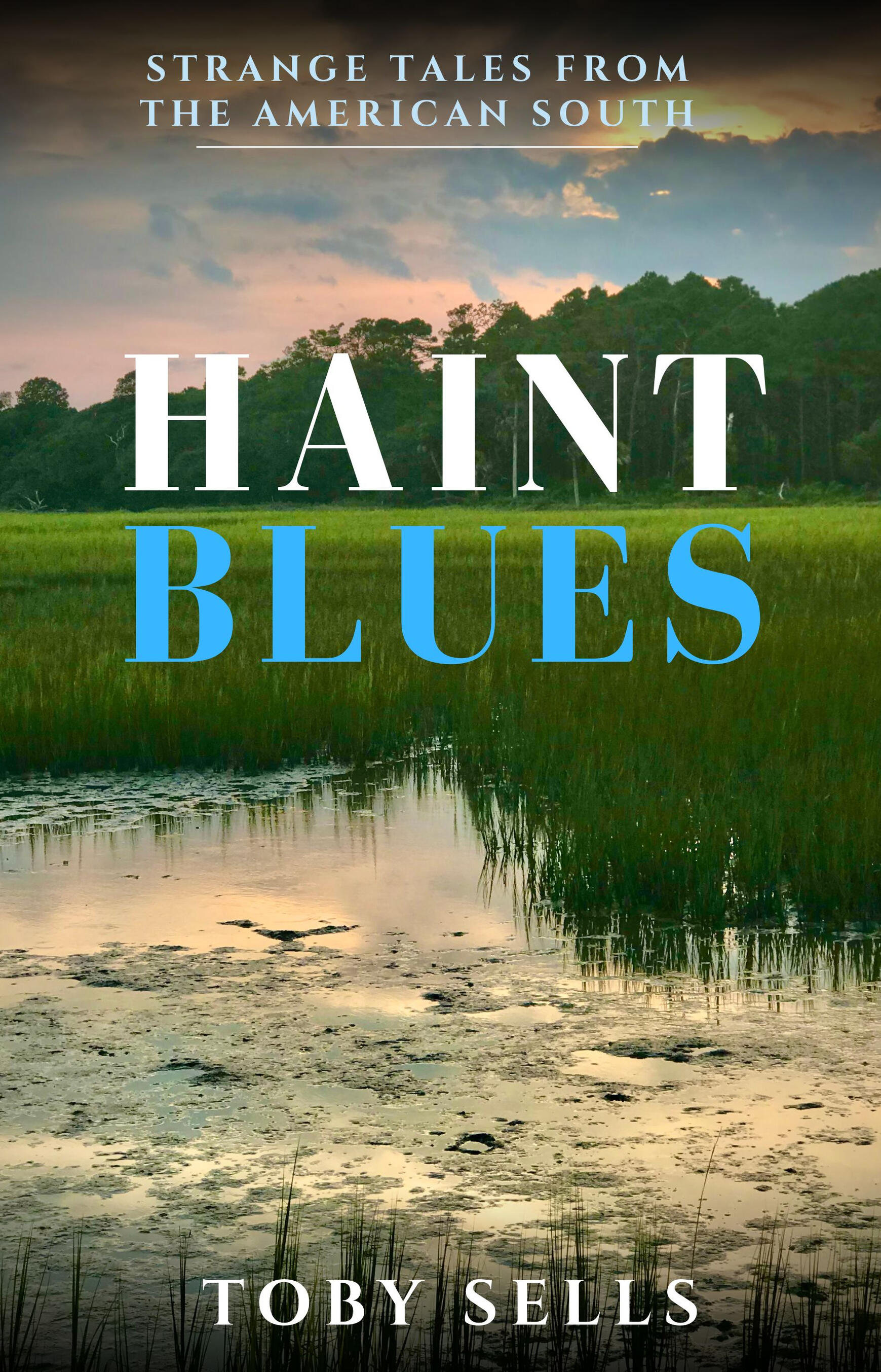 Haint Blues book cover